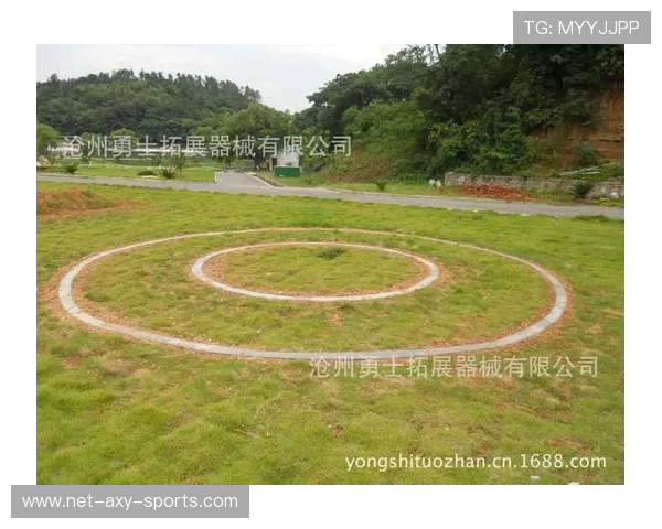 南京极限运动队整体压制体系的战术创新与实践探索