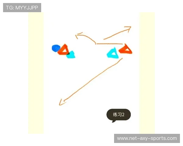 飞盘战术揭秘：深入解析上海飞盘队的区域防守策略与执行技巧